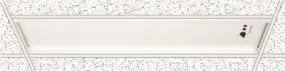 Dual-Lite Compact Central Lighting Inverters Recessed Ceiling T-Grid Mount 100 Va/W