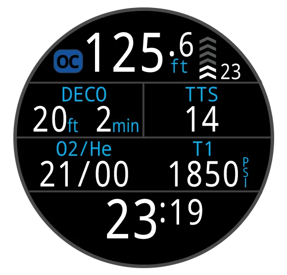 Shearwater Teric Wrist Computer